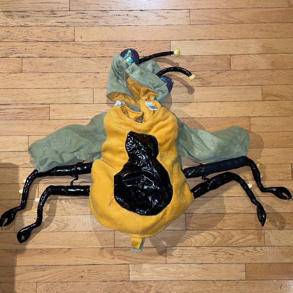The Children's Place Green and Yellow Bumblebee/Insect Kids Costume